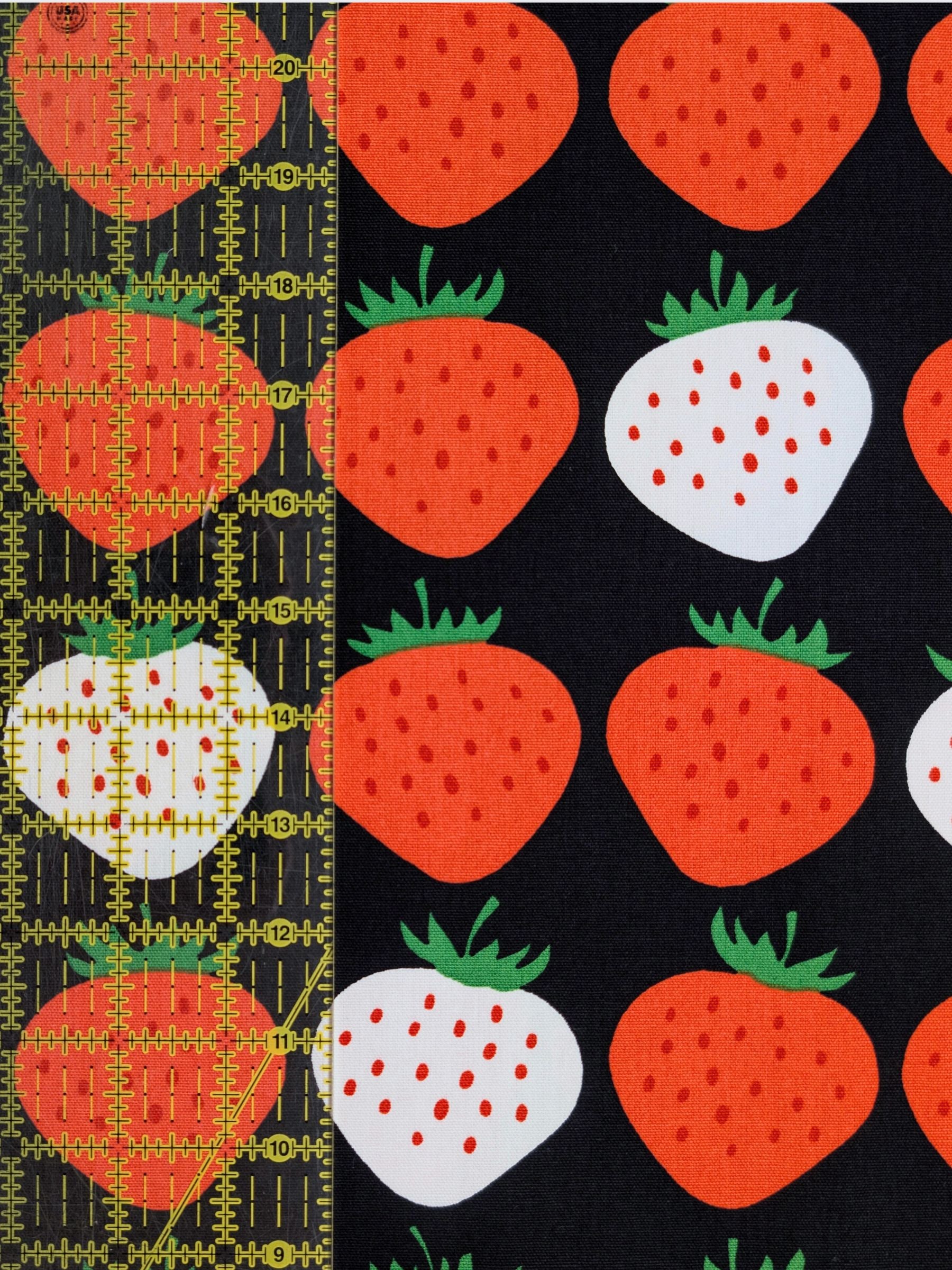 Asano - Big Strawberries Cotton Oxford Canvas Fabric - Black & white