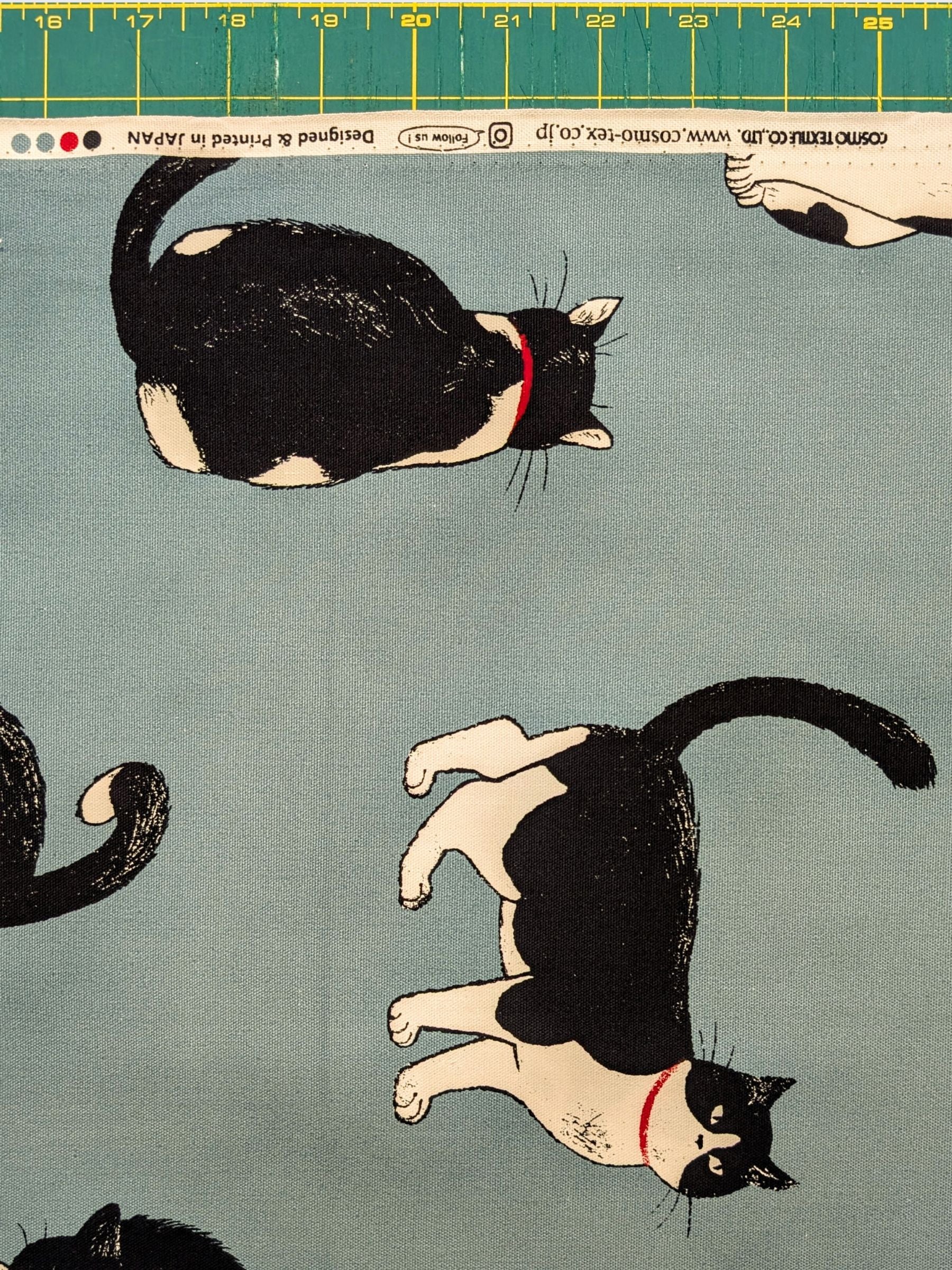 Cosmo - Tuxedo Cats Cotton Oxford Fabric - Teal