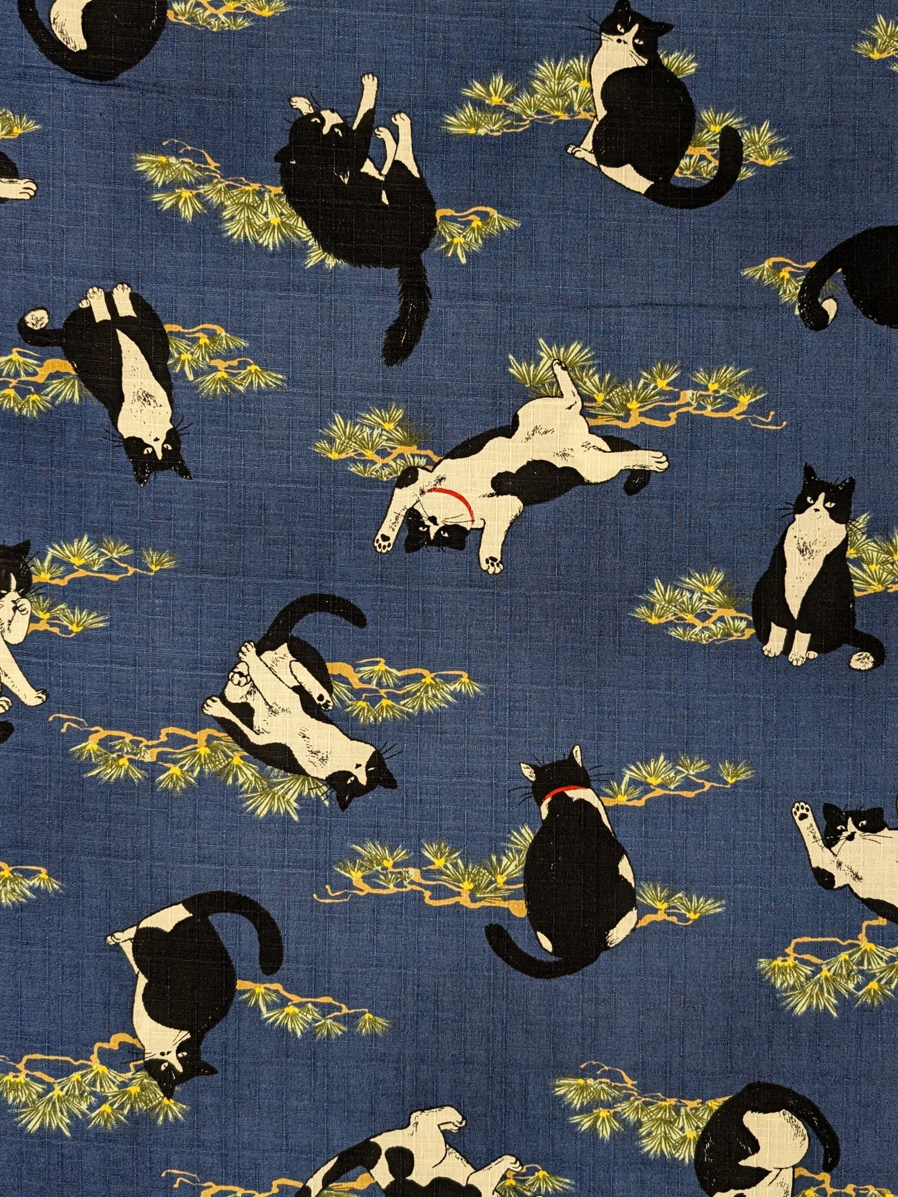 Cosmo - Tuxedo Cats in the Garden Cotton Dobby - Navy