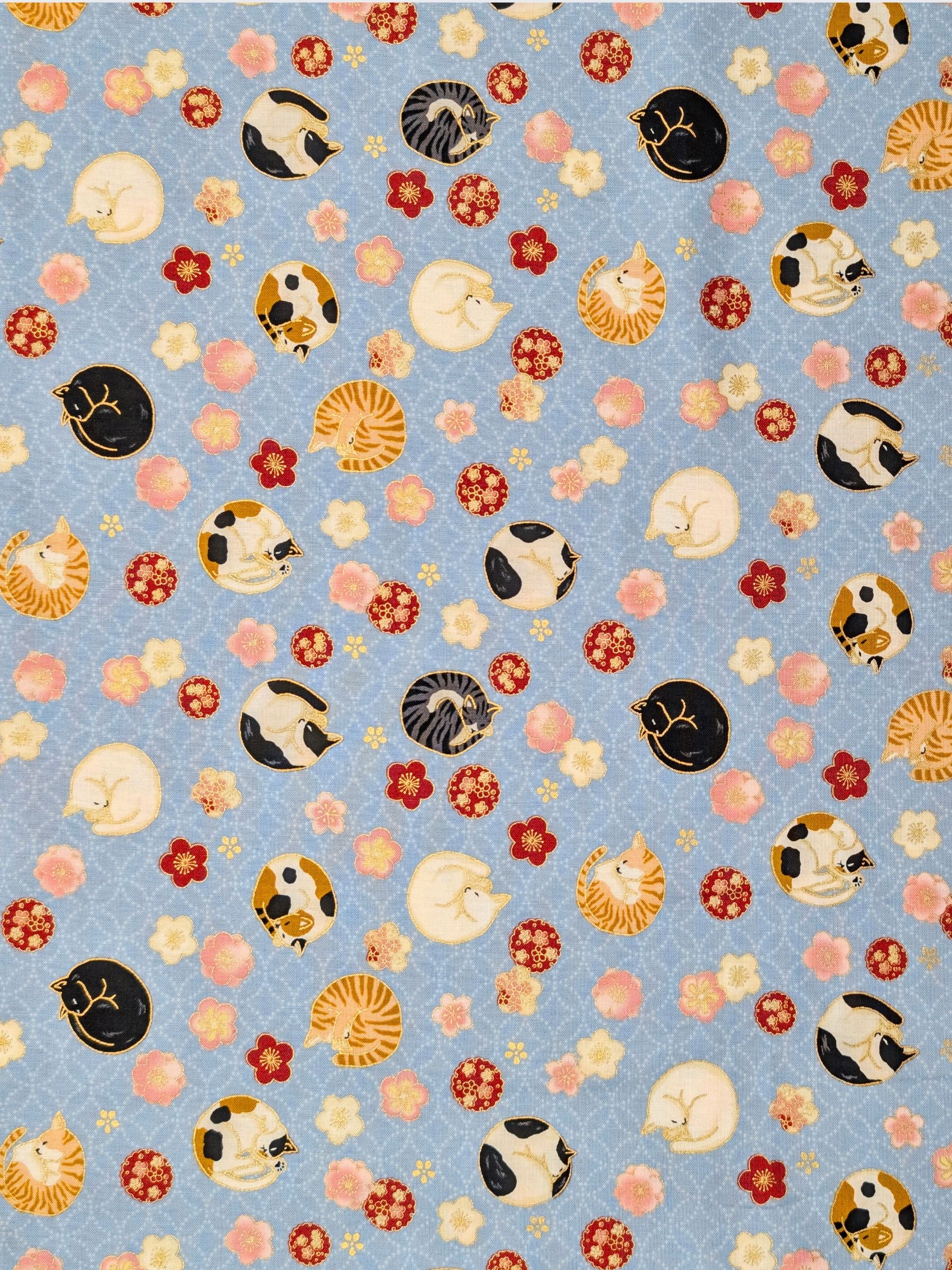 Quilt Gate - Napping Cats & Blossoms Cotton Sheeting Fabric - Light Blue