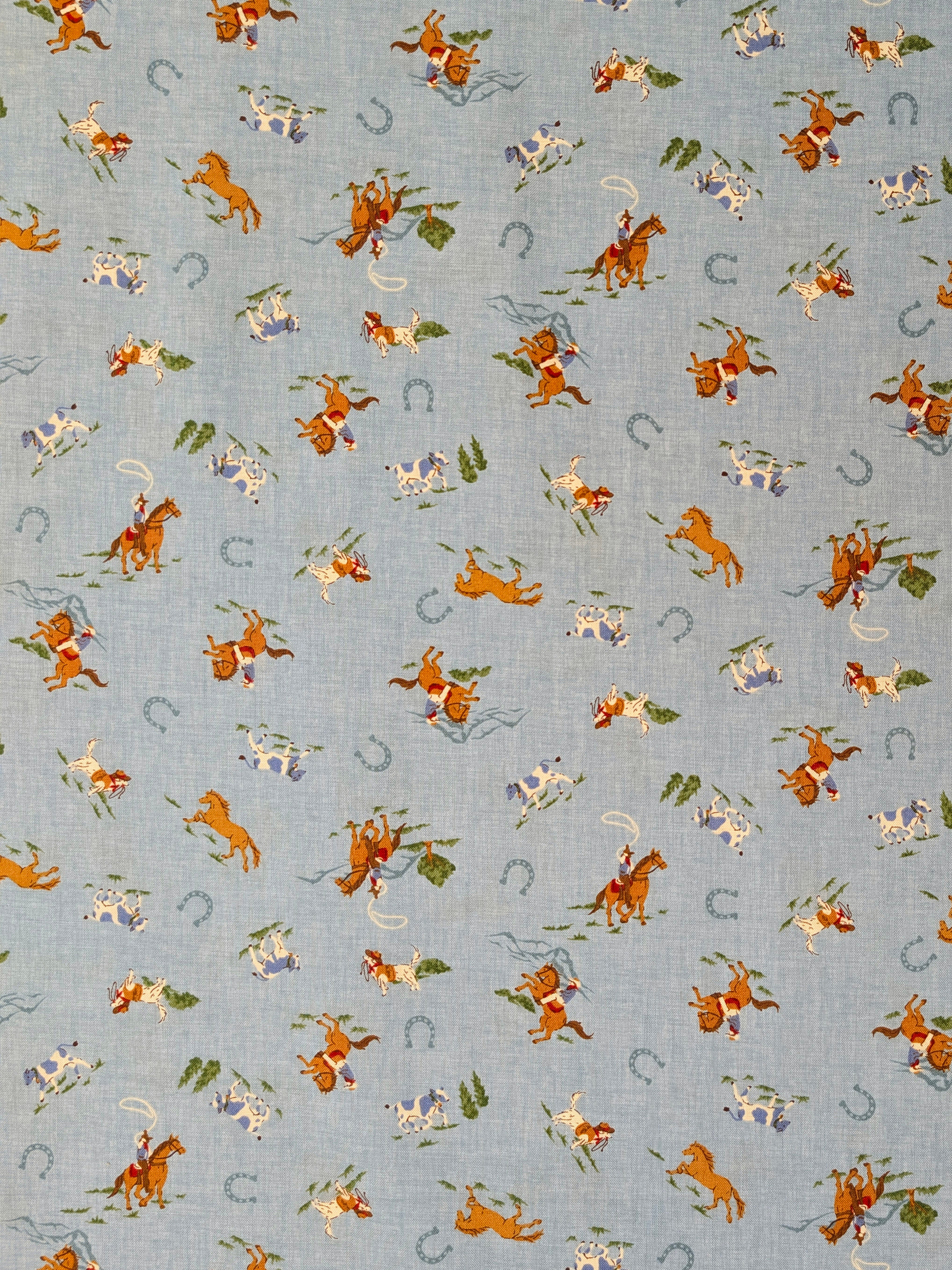 Vancet - Old Western Japanese Cotton Feedsack Fabric - Blue