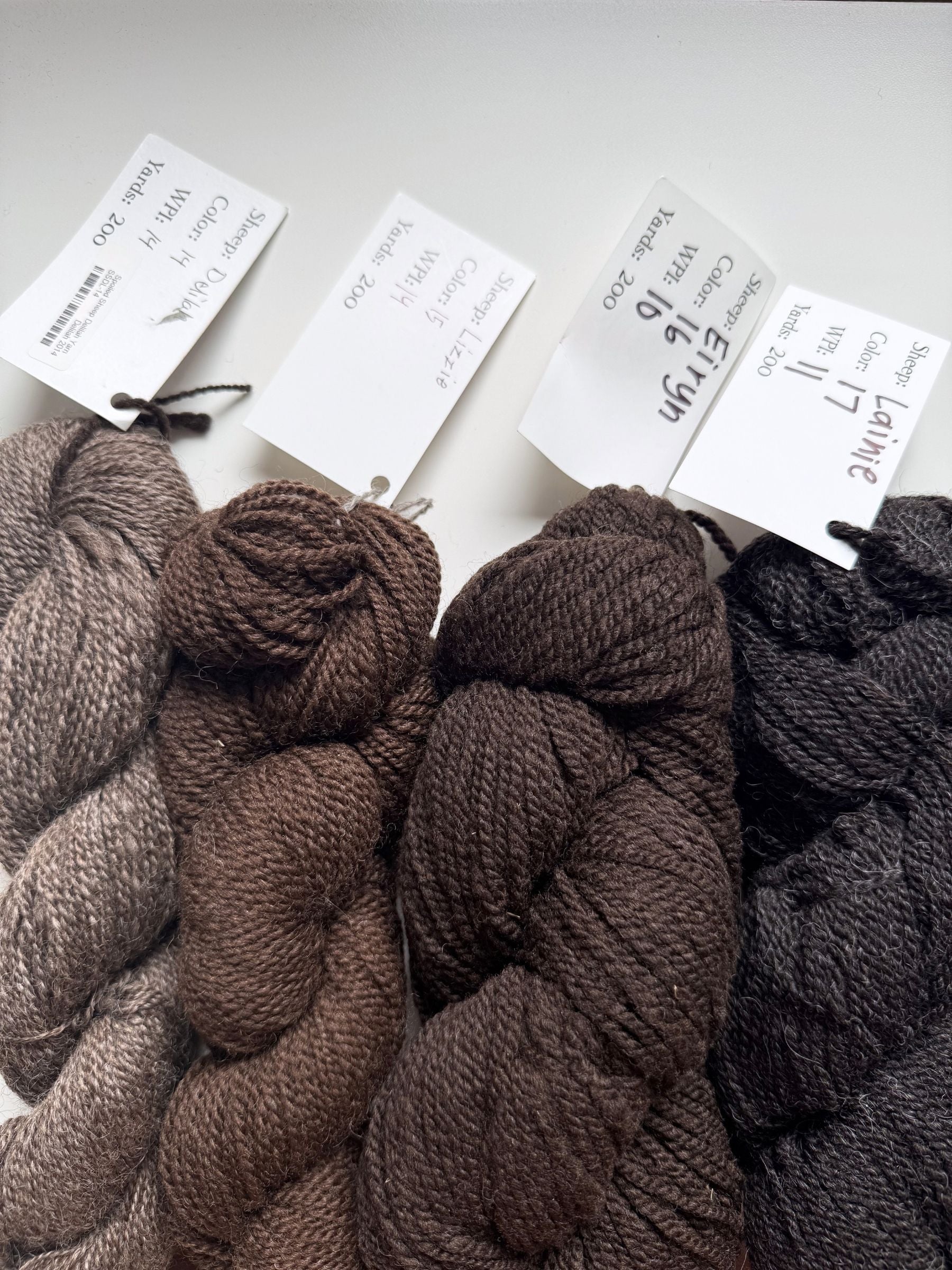 Spoiled Sheep - Suffolk/Finn/Merino Wool Yarn 200yd - Lainie #17 Charcoal Gray