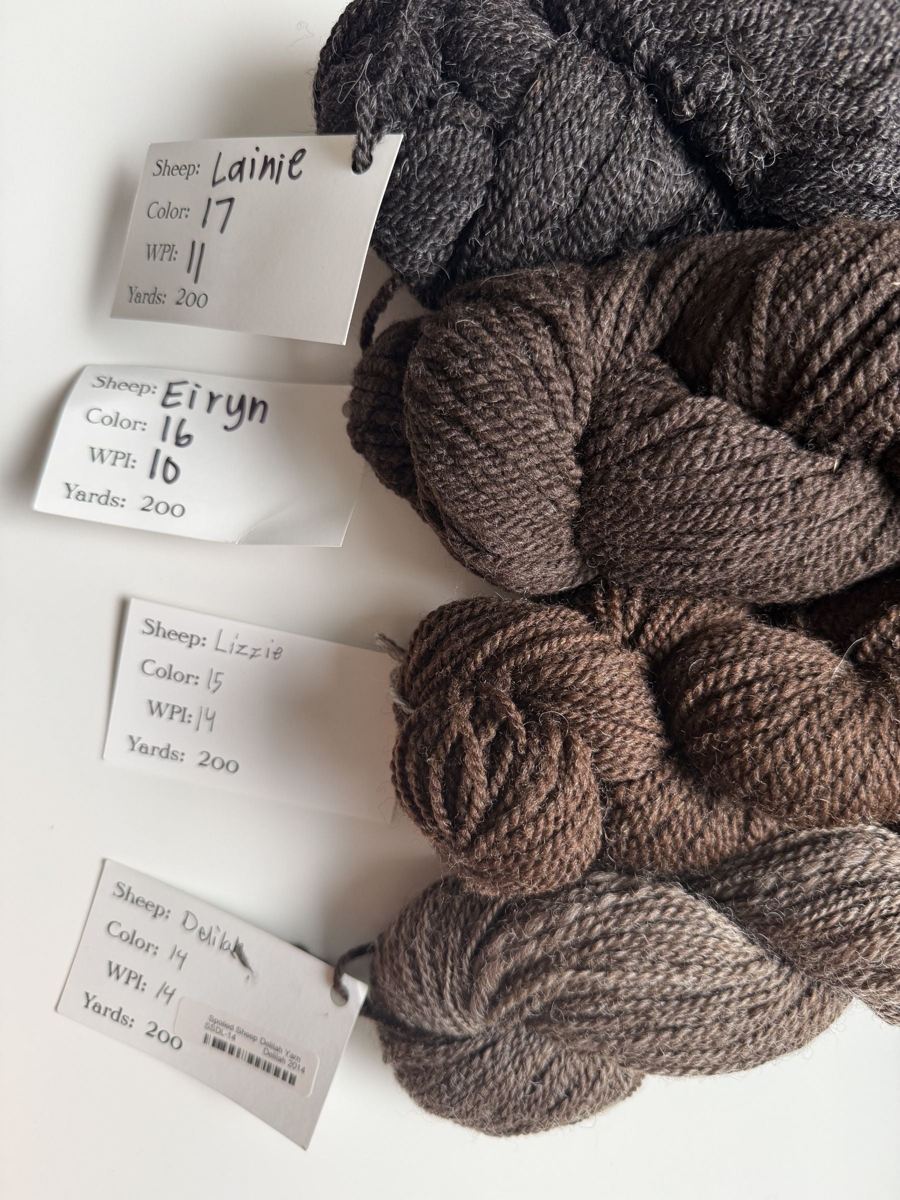 Spoiled Sheep - Suffolk/Finn/Merino Wool Yarn 200yd - Lainie #17 Charcoal Gray