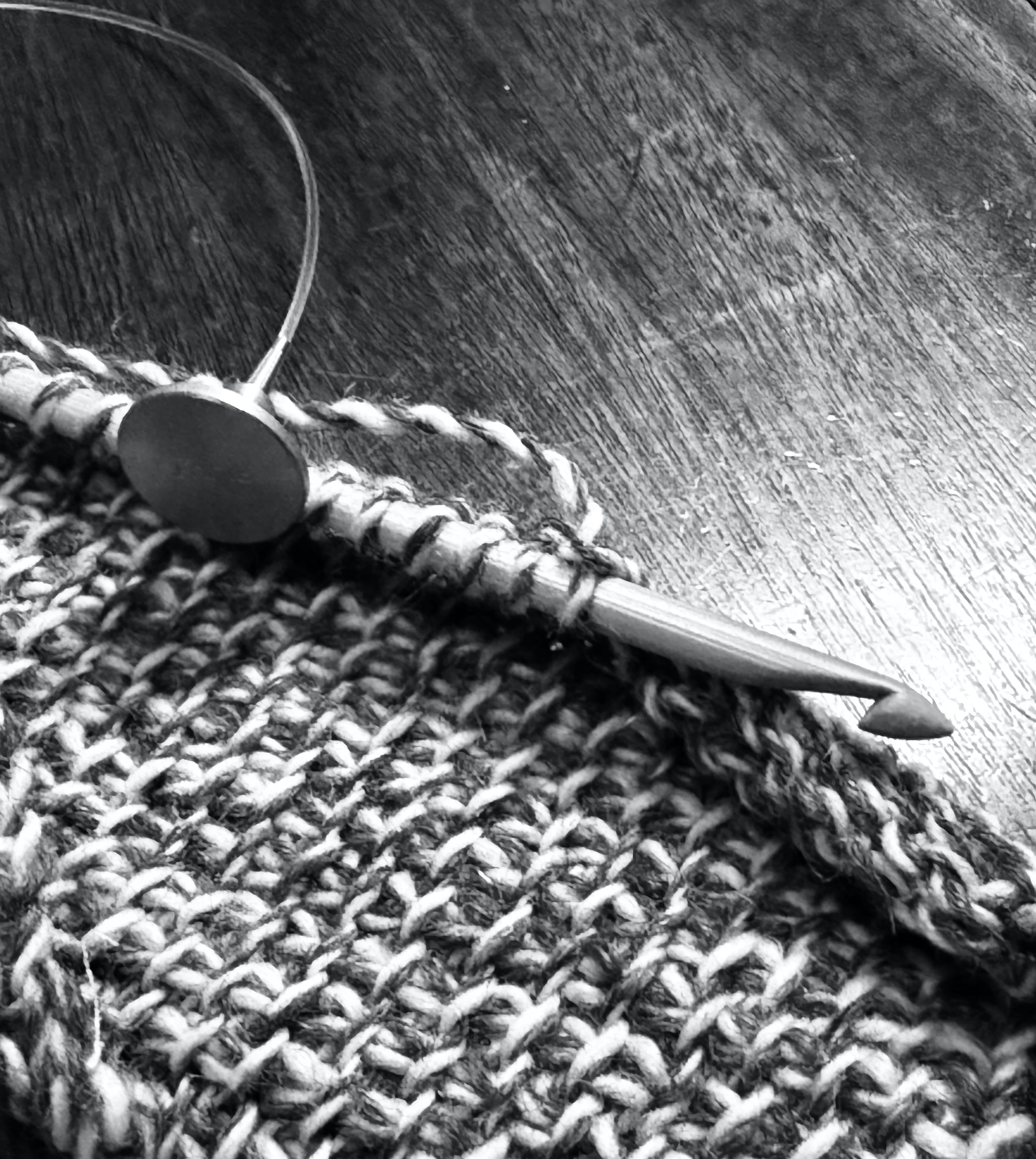 CLASS: Introduction to Tunisian Crochet (Sunday, February 22, 2026)