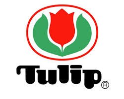 Tulip - Cables for CarryC Long Fine Gauge Knitting Needles - Various Sizes