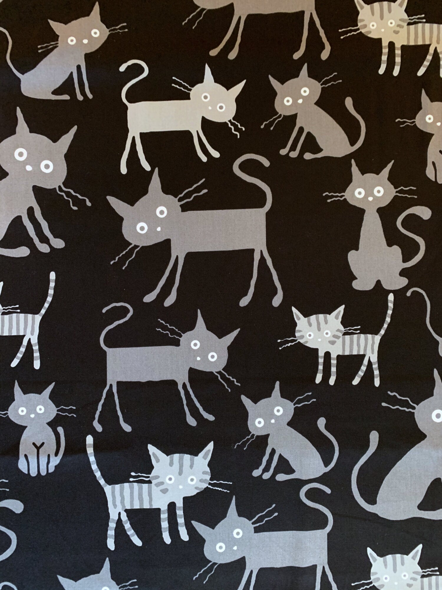 Cocoland Big Cats Japanese Oxford cotton fabric H-CO-10002-12-E black
