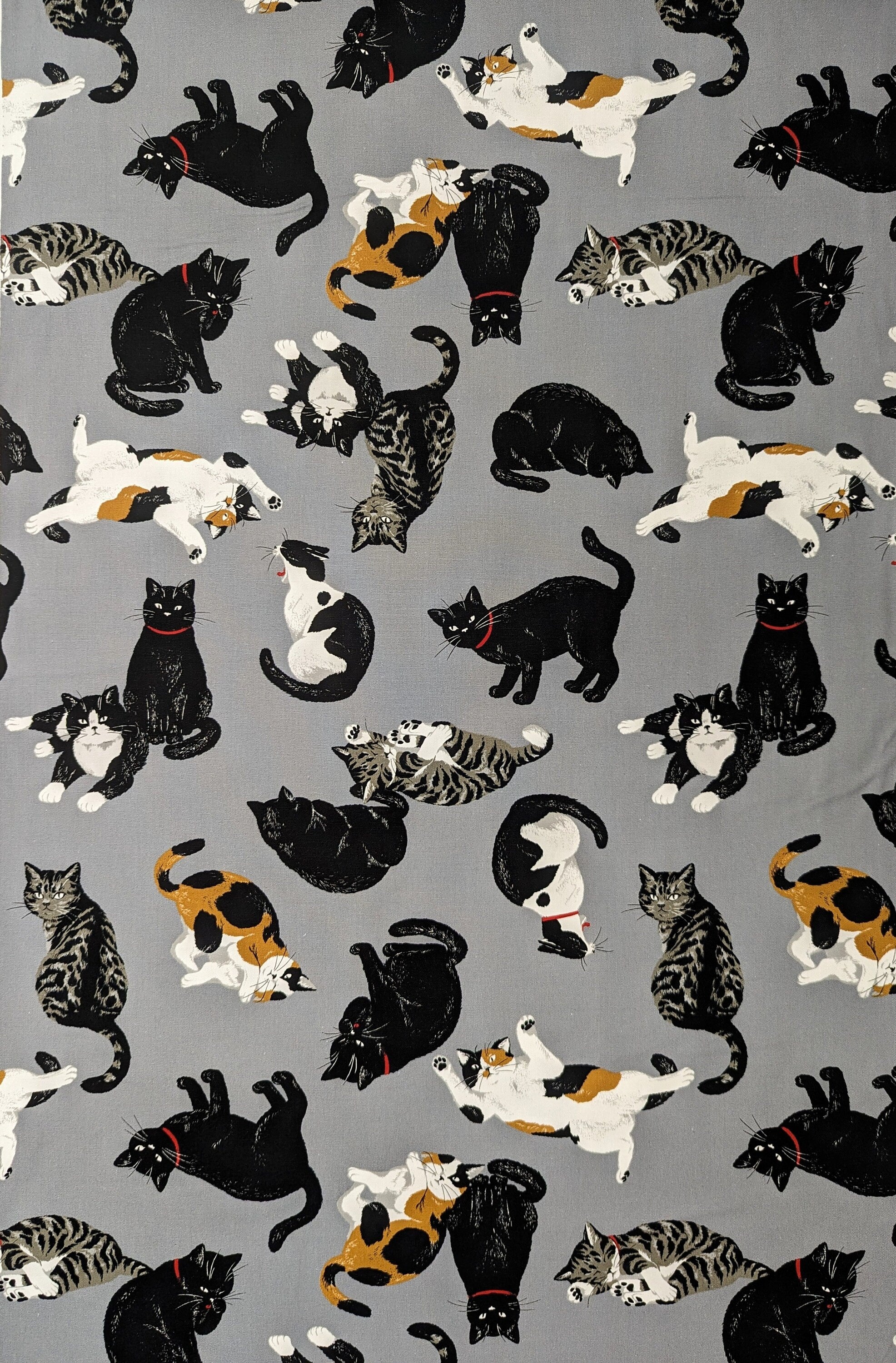 Cat Scatter Cosmo Japanese cotton fabric AP35406-2 E gray