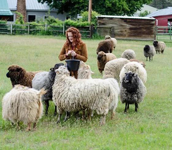 Spoiled Sheep - Corriedale Yarn 200yd - Tara #17 Rich Brown
