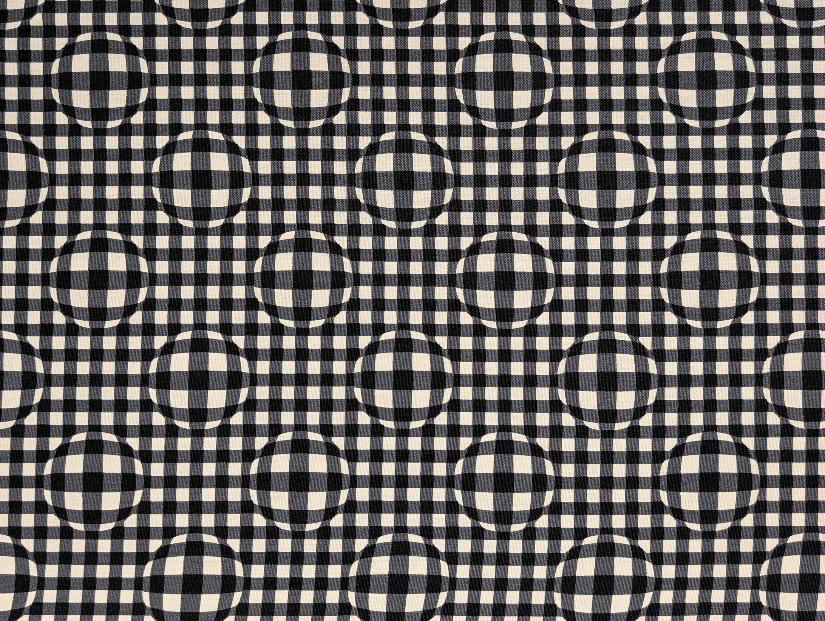 Hishiei - Warped Circle Gingham Cotton Oxford Canvas - Black