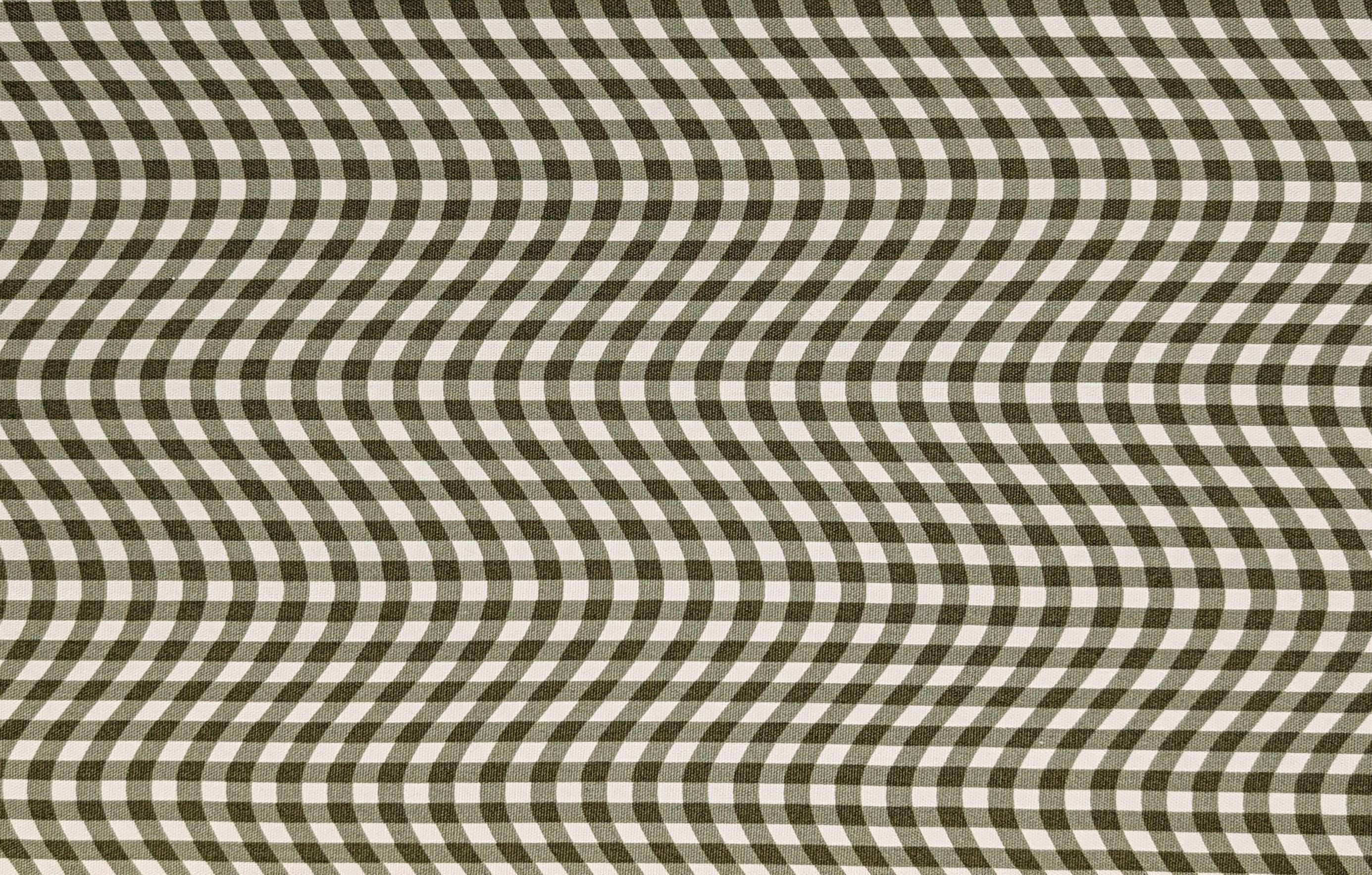Hishiei - Warped Gingham Cotton Oxford Canvas - Green