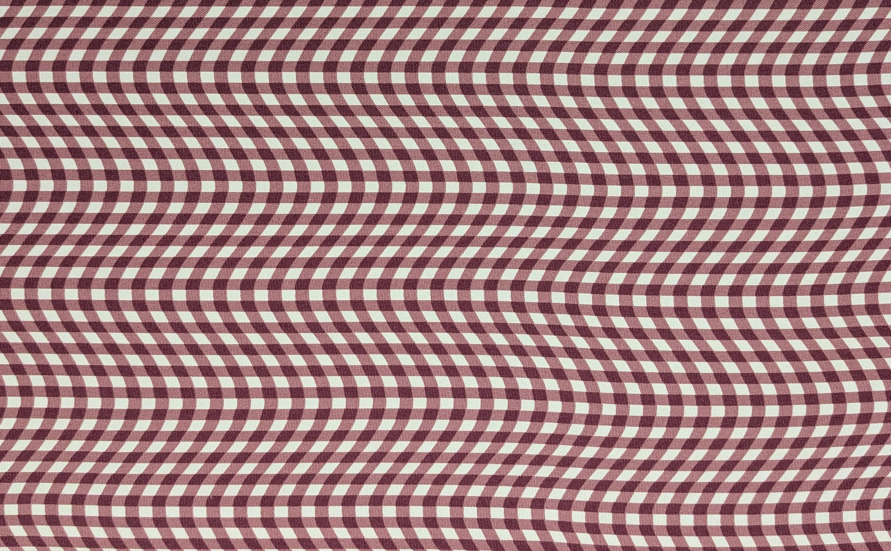 Hishiei - Warped Gingham Cotton Oxford Canvas - Pink