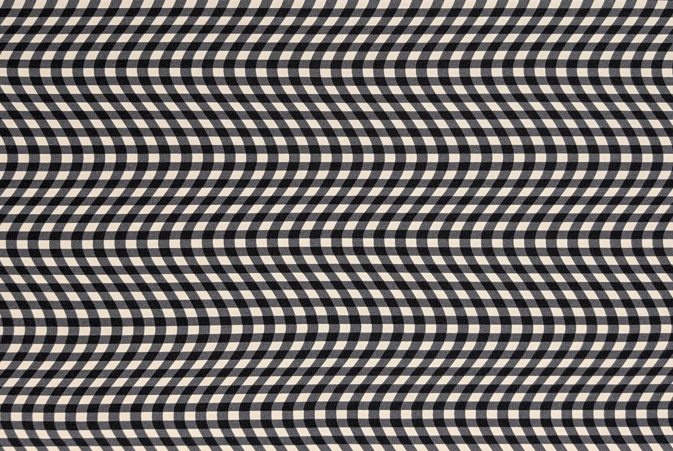 Hishiei - Warped Gingham Cotton Oxford Canvas - Black