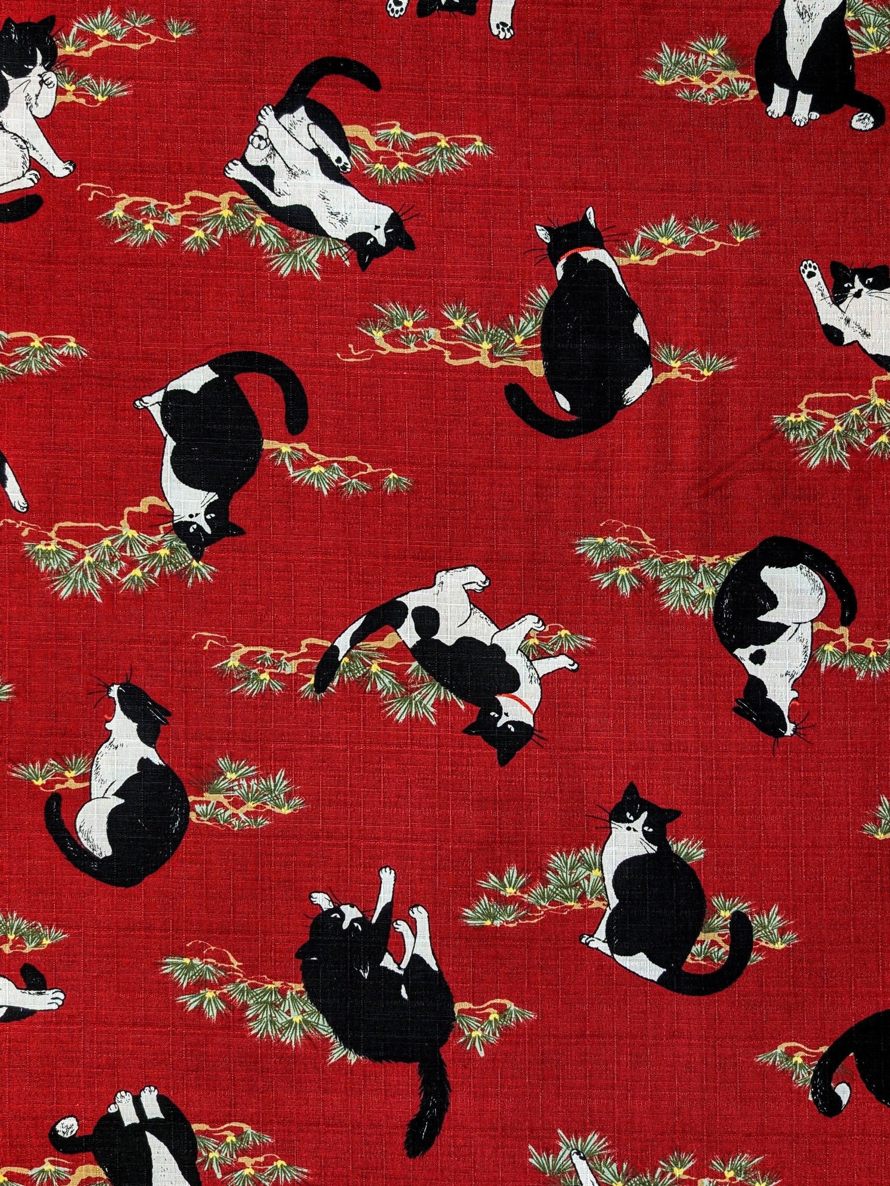 Cosmo - Tuxedo Cats in the Garden Cotton Dobby - Burgundy