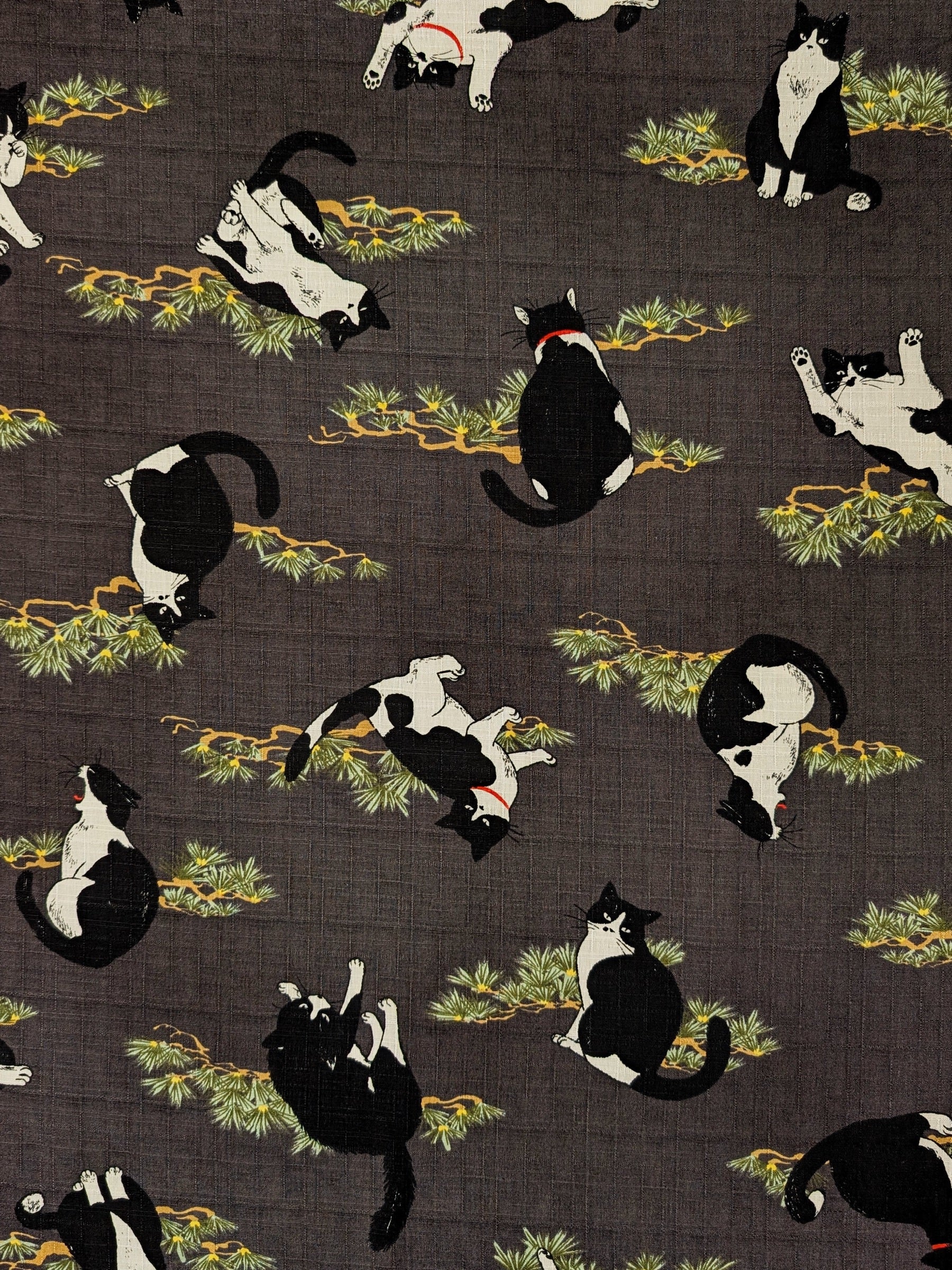 Cosmo - Tuxedo Cats in the Garden Cotton Dobby - Gray