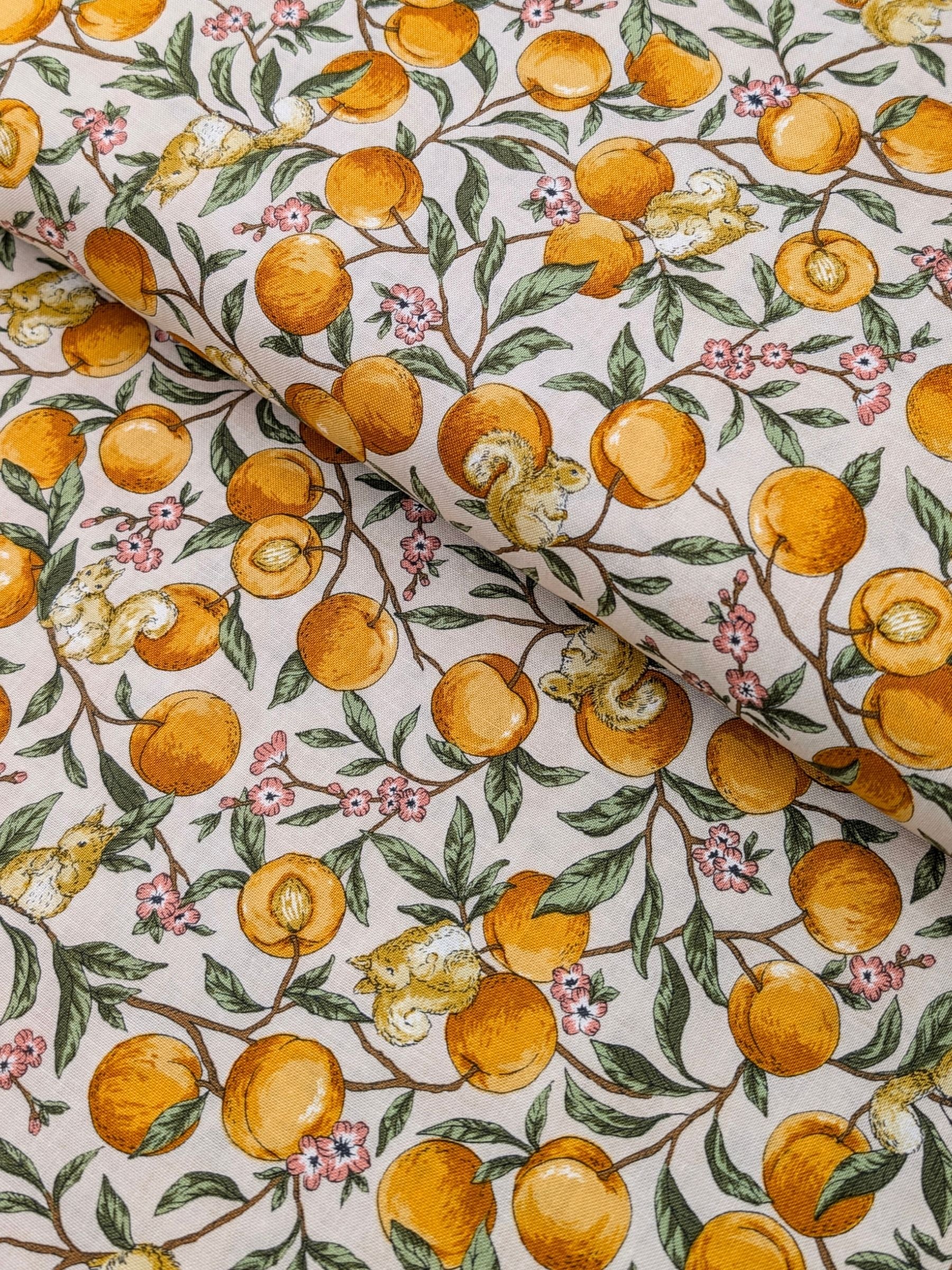 Cosmo - Apricots and Squirrels Cotton Sheeting Fabric - Off-White