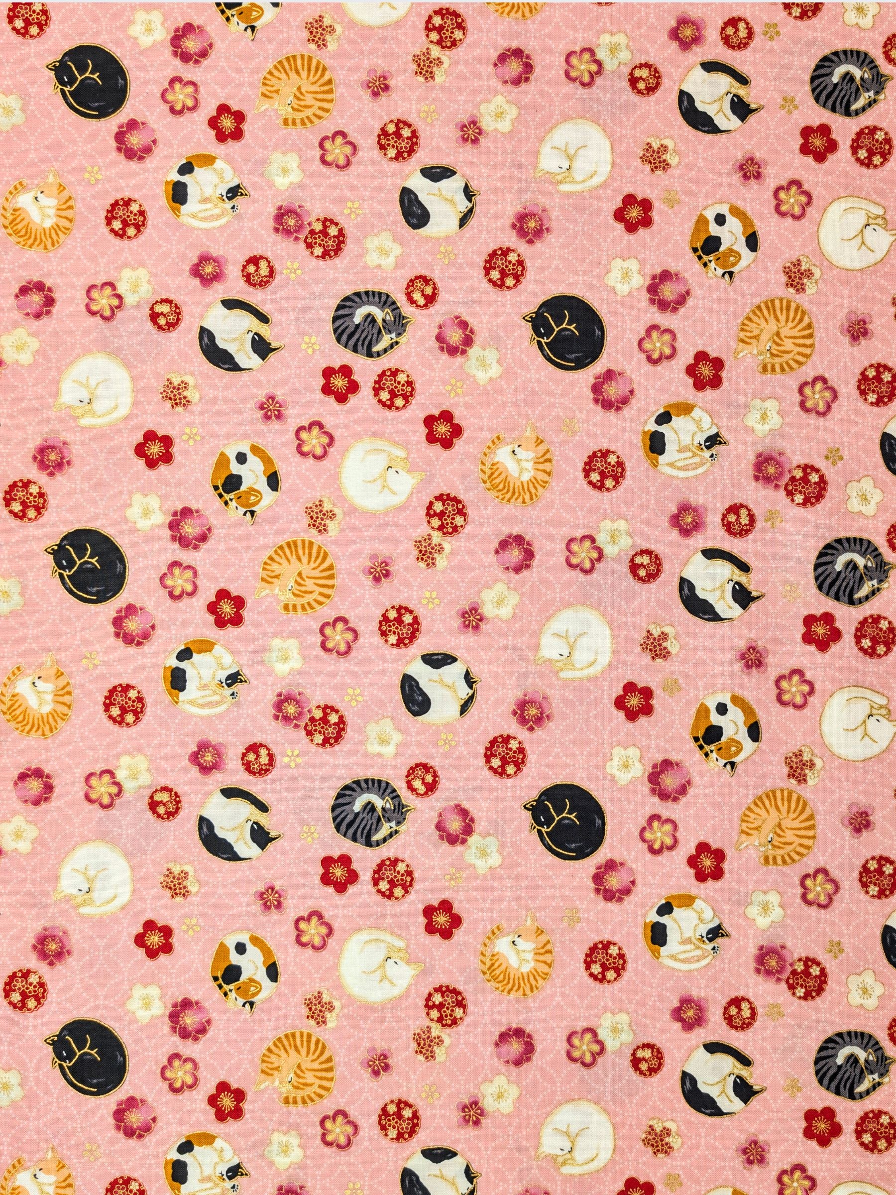 Quilt Gate - Napping Cats & Blossoms Cotton Sheeting Fabric - Pink