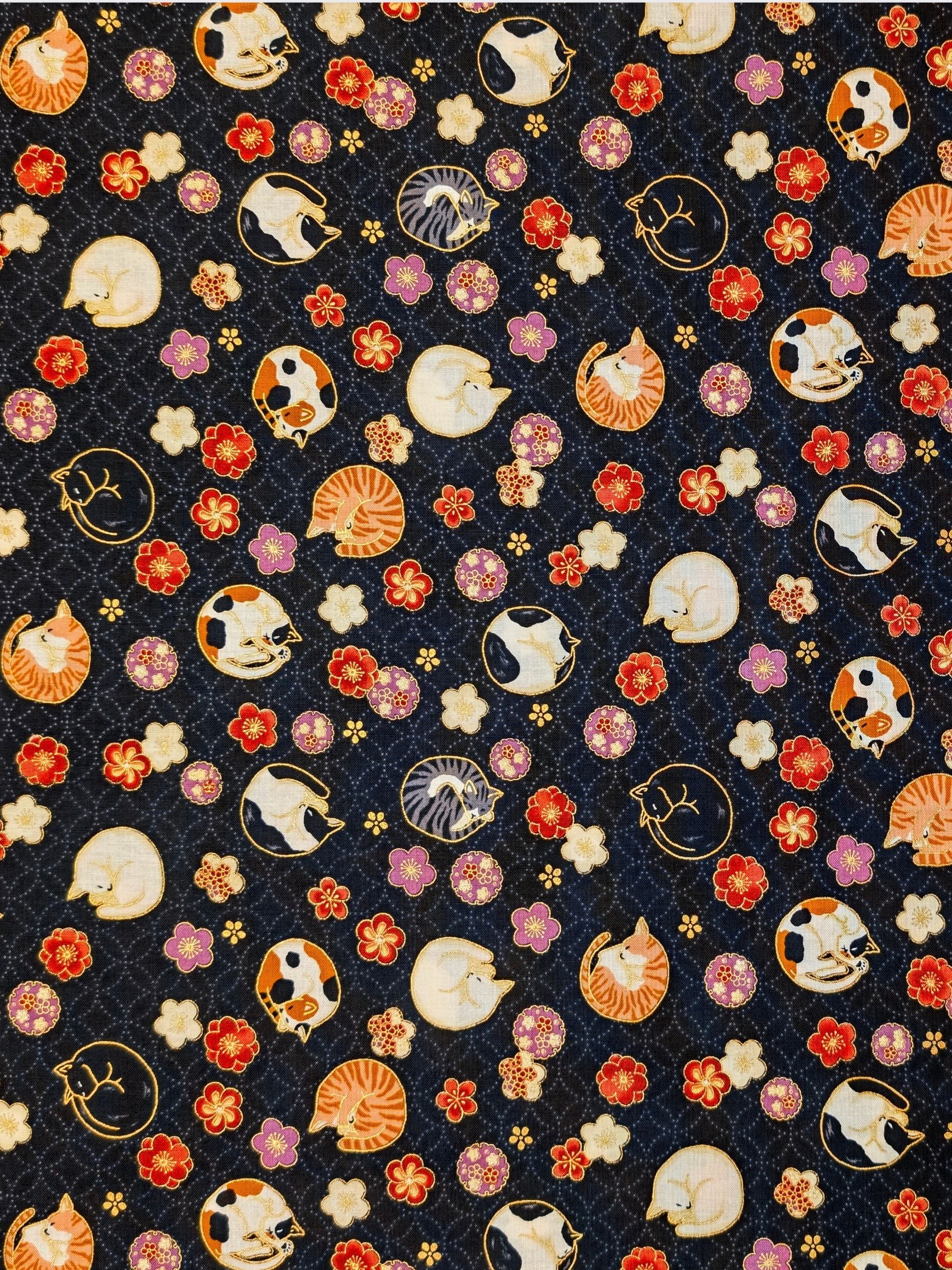 Quilt Gate - Napping Cats & Blossoms Cotton Sheeting Fabric - Black