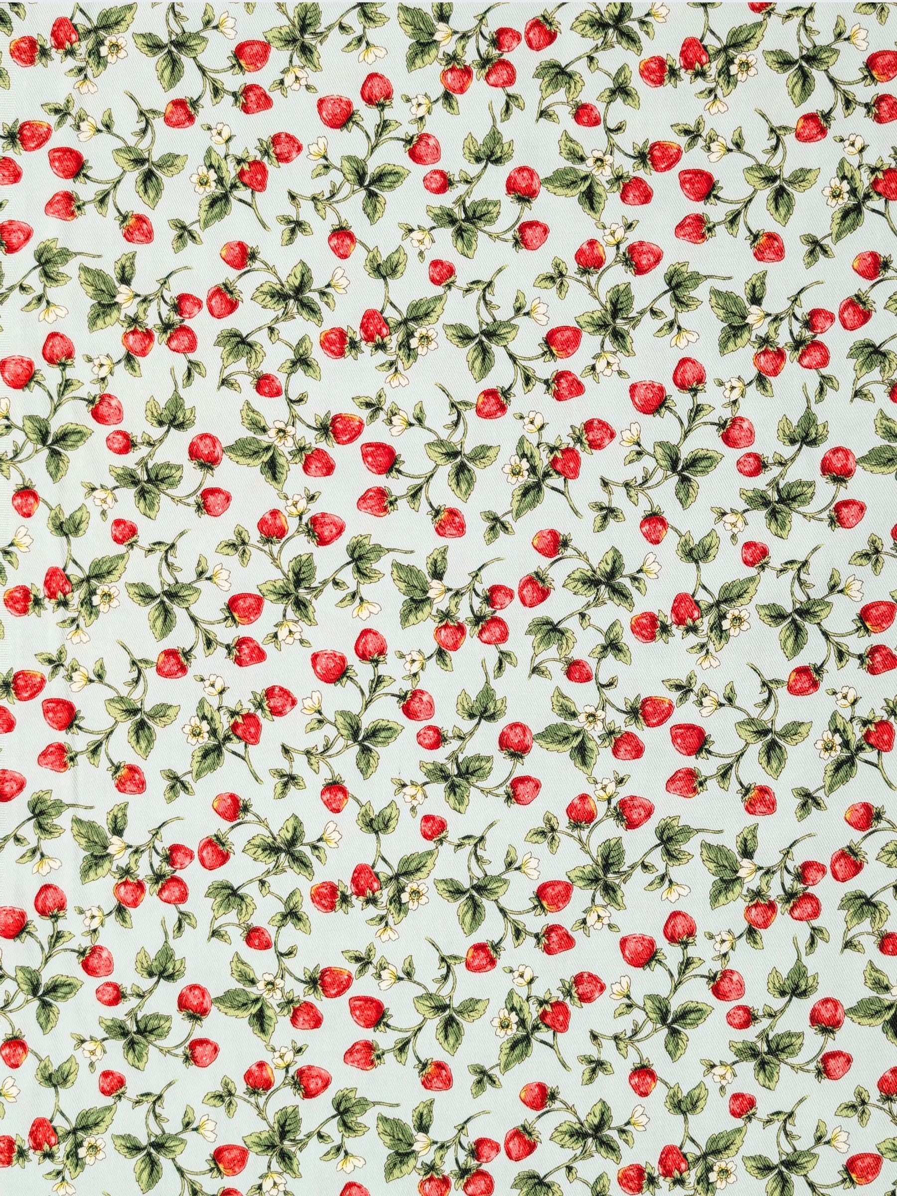 Kobayashi - Vining Strawberries Cotton Oxford Twill Fabric - Mint