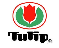 Tulip - Cables for Knitting Needles CarryC and CarryT - Various Sizes