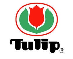 Tulip - Knina Swivel Circular Knitting Needles 40" (100cm) Cord - Bamboo