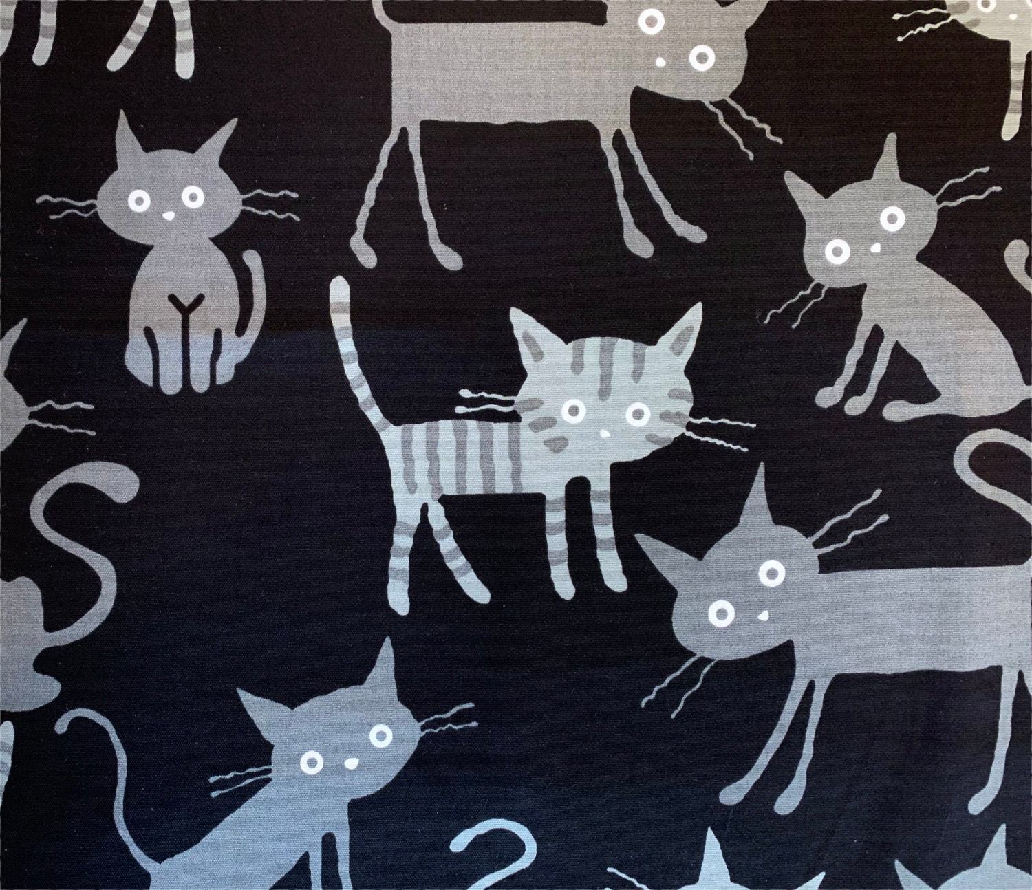 Cocoland Big Cats Japanese Oxford cotton fabric H-CO-10002-12-E black