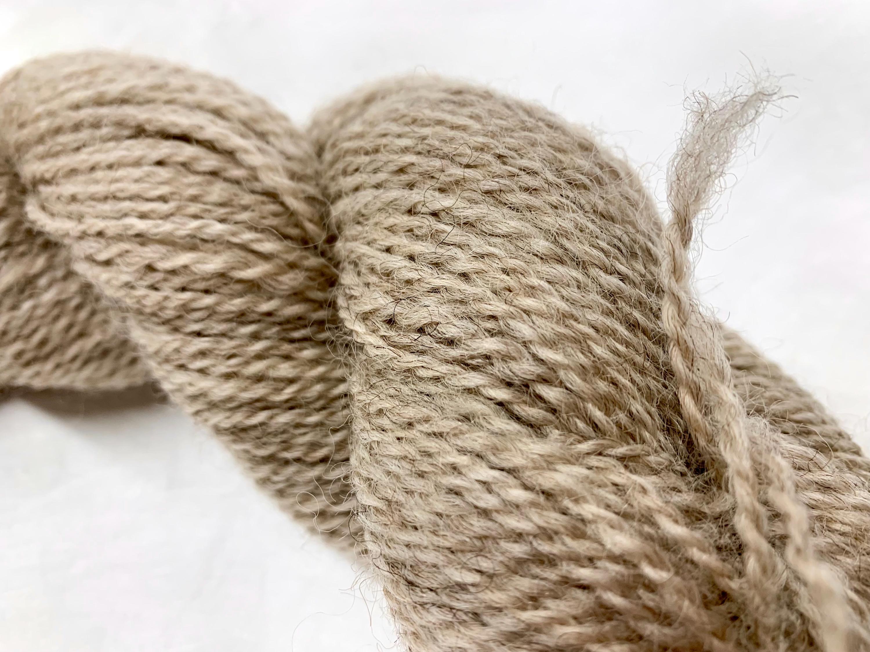 Spoiled Sheep - Romney Yarn 200yd - Jacklyn #13 Ash blonde