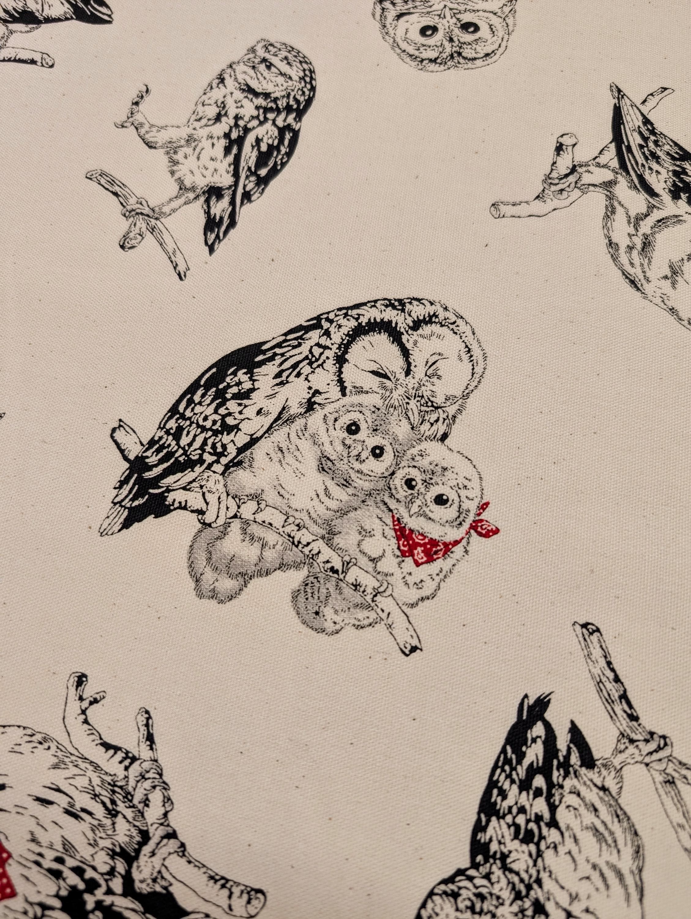 Cosmo - Owls in Bandanas Cotton Oxford - Beige