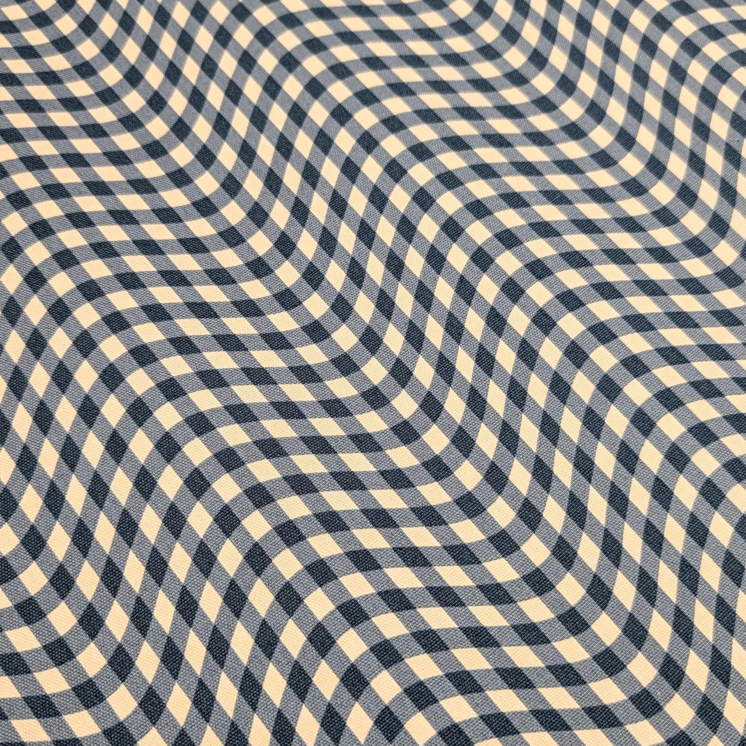 Hishiei - Warped Gingham Cotton Oxford Canvas - Blue