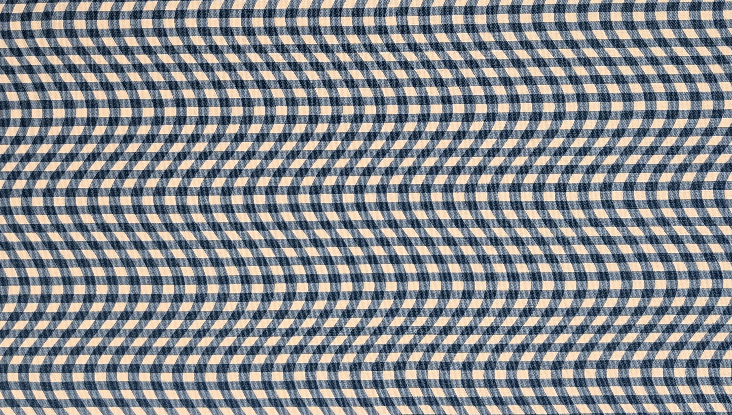Hishiei - Warped Gingham Cotton Oxford Canvas - Blue