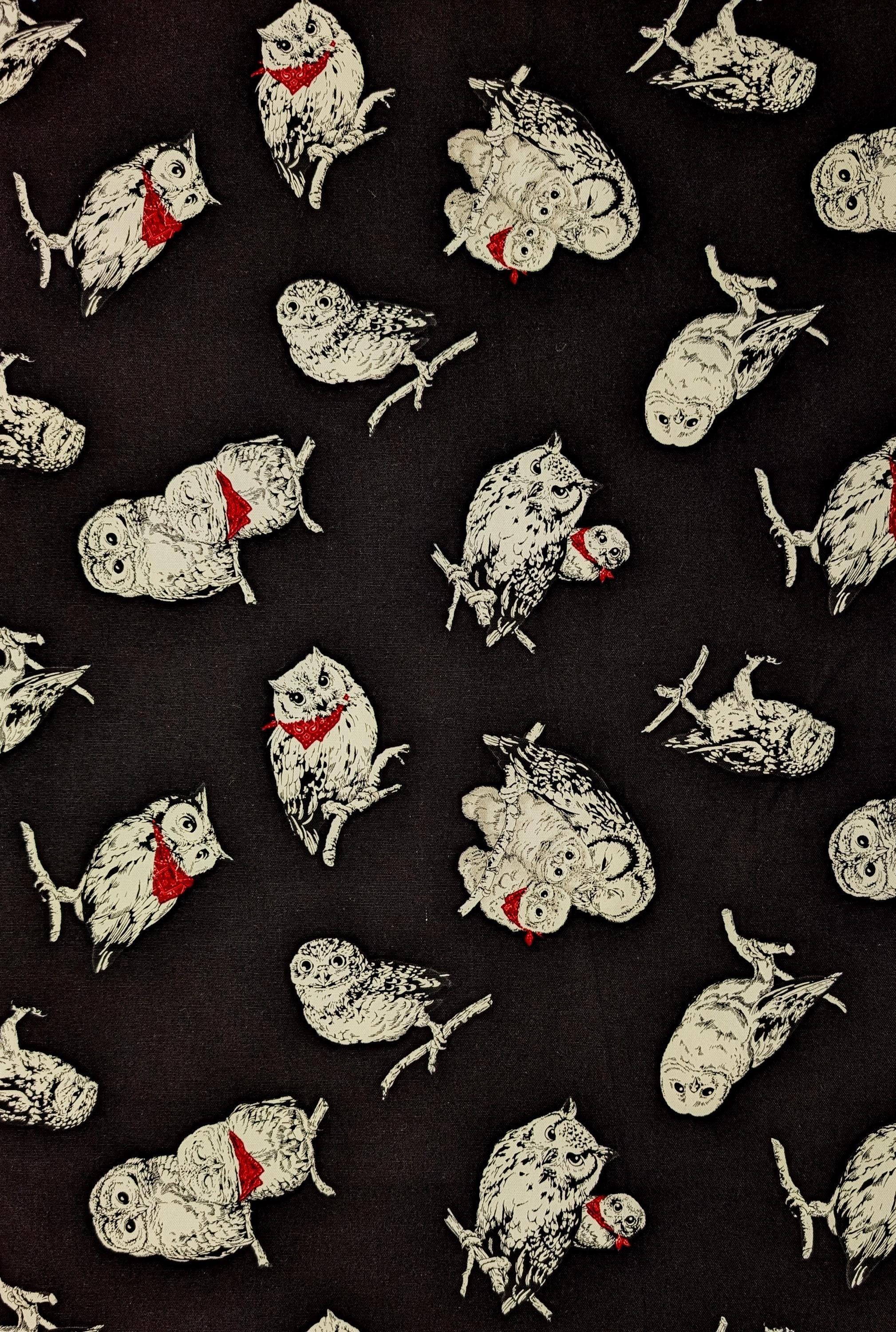 Cosmo - Owls in Bandanas Cotton Oxford - Black