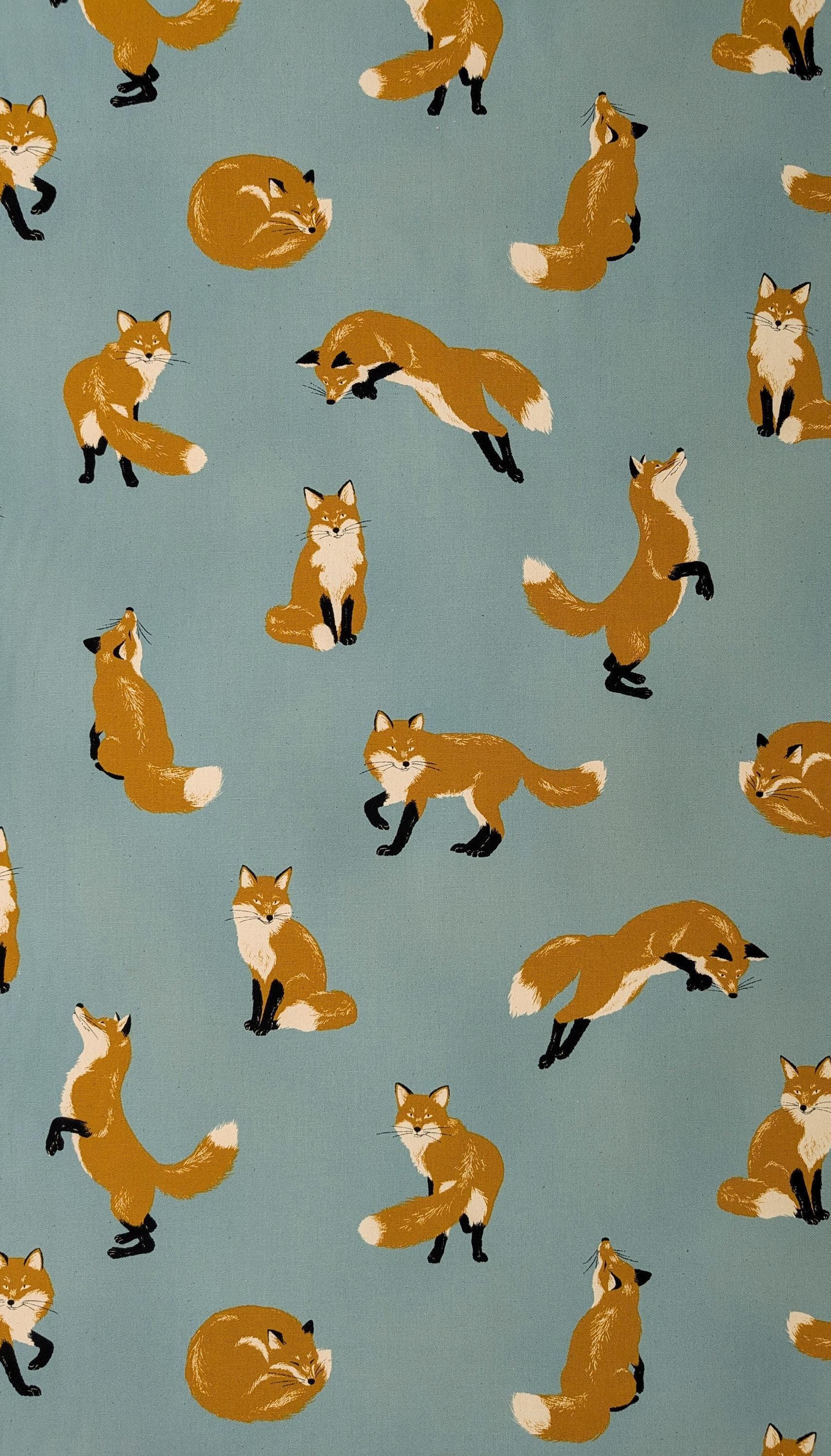 Cosmo - Playful Foxes Cotton Oxford - Light Blue