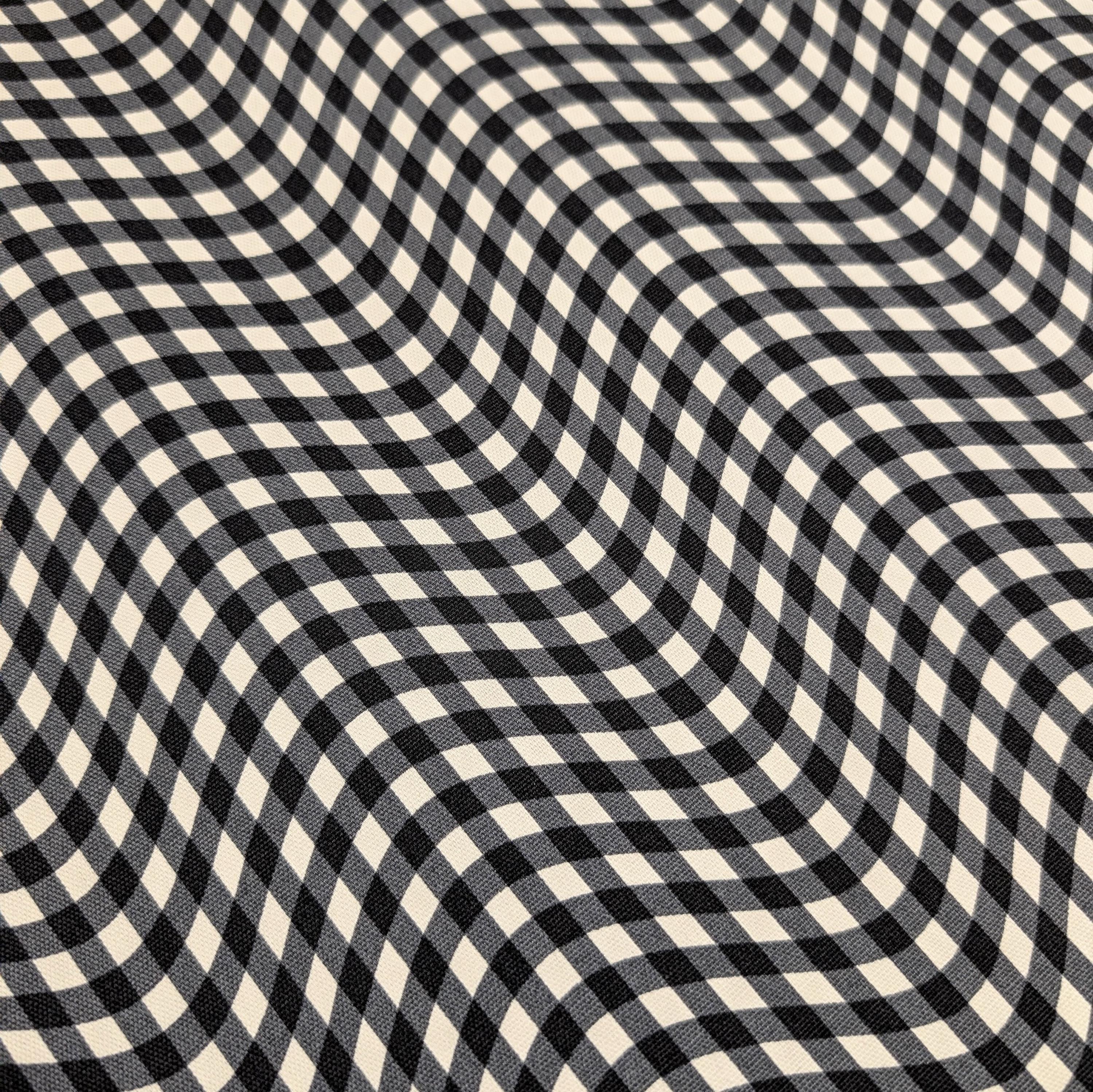 Hishiei - Warped Gingham Cotton Oxford Canvas - Black