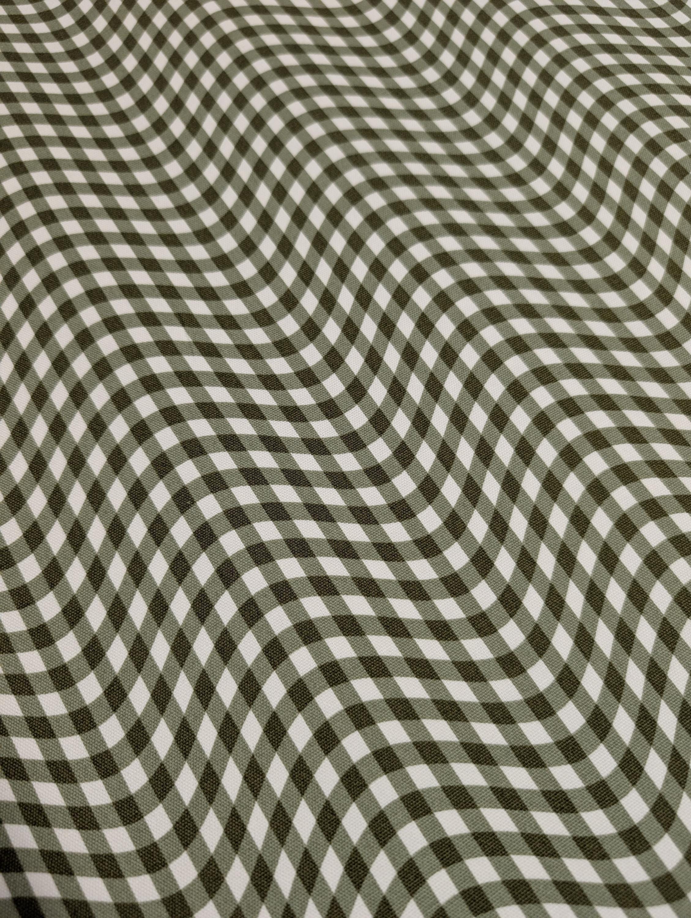Hishiei - Warped Gingham Cotton Oxford Canvas - Green
